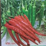 pc 105 গাঢ় সবুজ রঙ্গের বারোমাসি তীব্র ঝাল মরিচের বীজ 5 grim