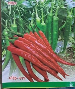 pc 105 গাঢ় সবুজ রঙ্গের বারোমাসি তীব্র ঝাল মরিচের বীজ 5 grim