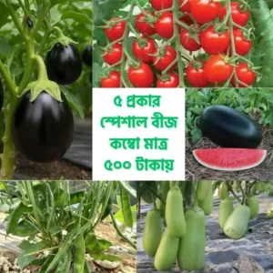 pc 100 ৫ প্রকার বীজের স্পেশাল কম্বো প্যাক