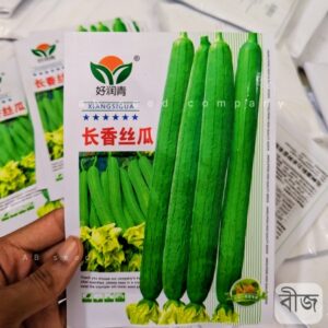 pc 85 High-quality Hybrid Luffa – উন্নতমানের হাইব্রিড ধুন্দল ( আনুমানিক ৪০+ বীজ ) শাঁস: নরম, কচি ও সুস্বাদু