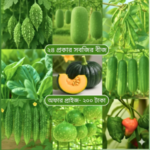 pc 78 ২৪ প্রকার সবজির বীজ। এগুলো বাংলাদেশি বীজ। আলাদা আলাদা জিপারে থাকবে