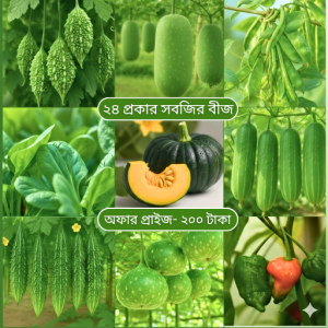pc 78 ২৪ প্রকার সবজির বীজ। এগুলো বাংলাদেশি বীজ। আলাদা আলাদা জিপারে থাকবে