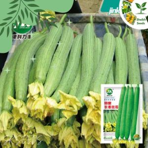 pc 68 ধুন্দল ( ৪০ বীজ ) ২০-২৪ সেমি লম্বা, ঘন মাংসল, মিষ্টি স্বাদযুক্ত, পুষ্টিগুণে ভরপুর। চাষ সহজ ও বাজারজাতযোগ্য
