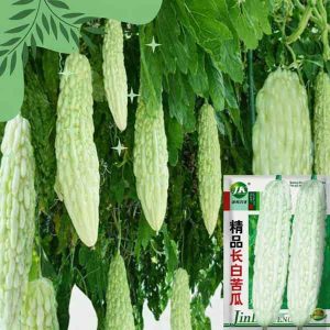pc 58 হাইব্রিড সাদা করলা (২০+- বীজ), ইউনিক জাত, চাষে লাভজনক ও ফলন খুবই ভালো
