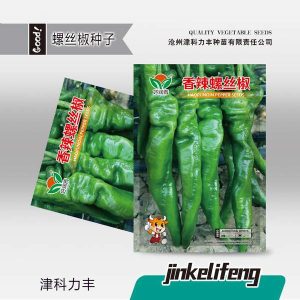 pc 50 Crispy Horn Chili — সবুজ লম্বা মরিচ (আনুমানিক ৩০০+ বীজ) বাজারে এই জাতের মরিচের দাম বেশি। সরাসরি ভাজা, রান্না বা আচার—সবকিছুর জন্যই পারফেক্ট।
