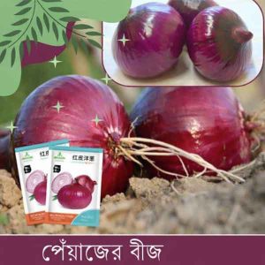 pc 44 পেয়াজ বীজ (চায়না ইমপোর্টেড) — উচ্চমানের, ভালো ফলন, দ্রুত বৃদ্ধি, স্বাস্থ্যবান গাছ, চাষ সহজ ও লাভজনক।