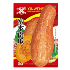 pc 26 বাটারনাট কুমড়া ৫ গ্রাম