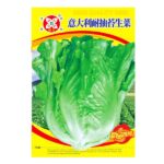 pc 25 লেটুস বড়ো লম্বা জাত ২ গ্রাম
