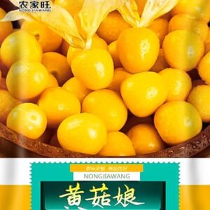 pc 35 হলুদ বেরি চায়না - ২ গ্রাম