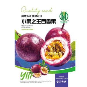 pc 06 ফেসন / আনার কলি  বেগুনি২ গ্রাম ১২০৳