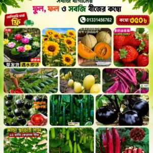 Seed & Food - ২৬ প্রকার উচ্চ ফলনশীল হাইব্রিড বিজ প্যাকেজ