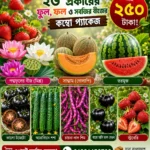 খন্দকার 250 - ২৬ প্রকার উচ্চ ফলনশীল হাইব্রিড বিজ প্যাকেজ