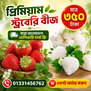 ​২ প্যাকেট লাল ও সাদা স্ট্রবেরি- ৬০০+ বীজ