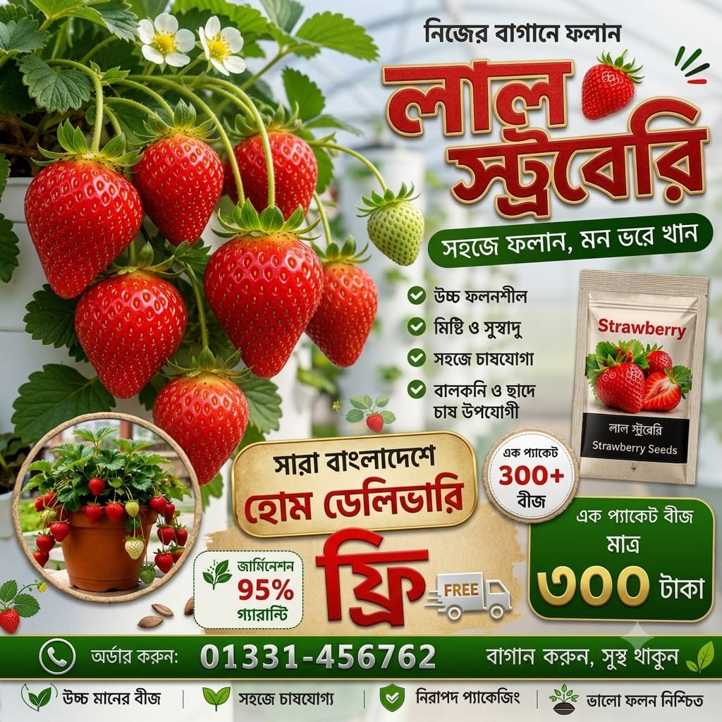 ​১ প্যাকেট লাল স্ট্রবেরি – ৩০০+ বীজ